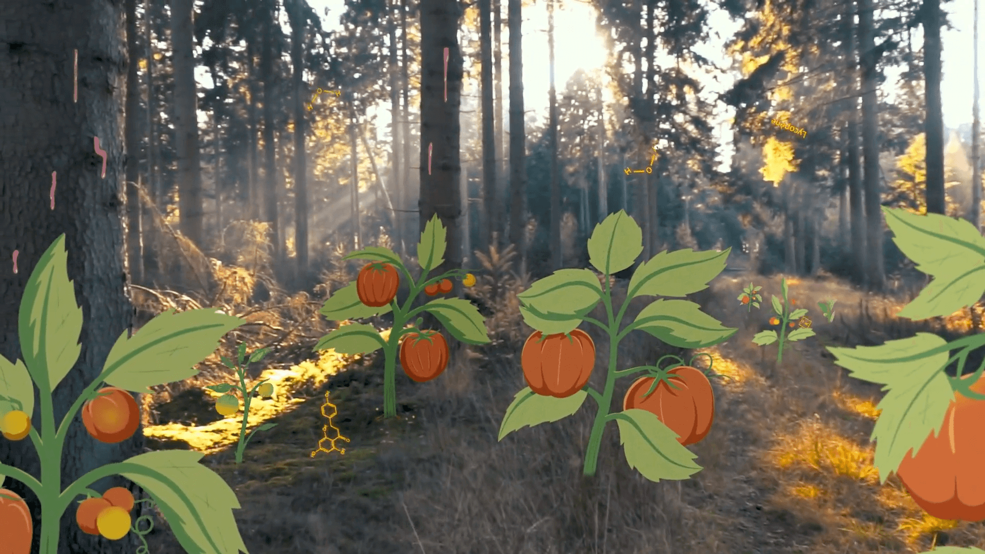 Laboratoire Garancia