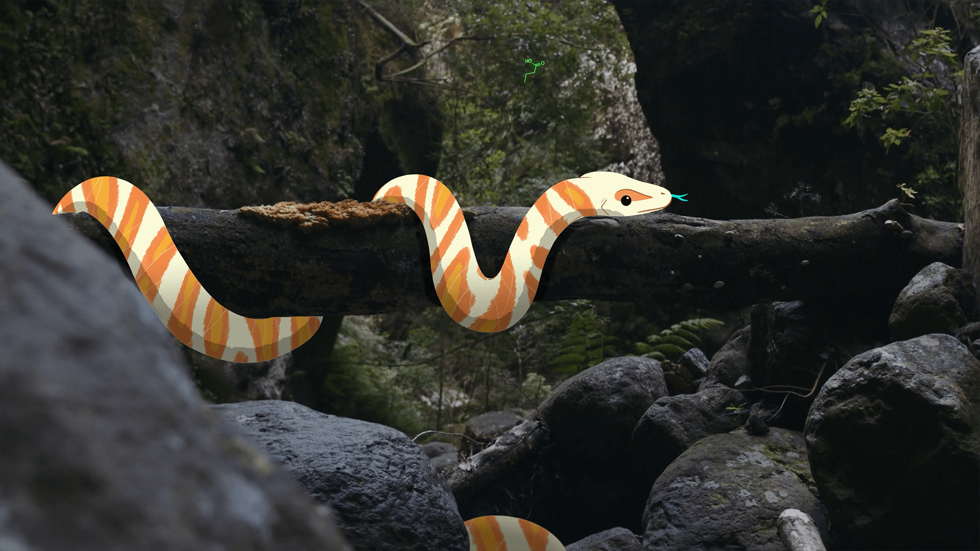 Laboratoire Garancia